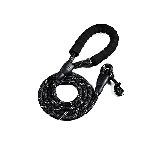 Hundeleine Reflektierende Nylon-Leinen, mittelgroße Welpenhalsbandleinen, Führstrick, Haustiergeschirr Schleppleine für Hunde(Black,2.0Mx0.8CM) von DGOINGPI