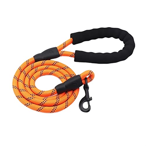 Hundeleine Reflektierende Nylon-Leinen, mittelgroße Welpenhalsbandleinen, Führstrick, Haustiergeschirr Schleppleine für Hunde(Orange,1.5Mx1.2CM) von DGOINGPI