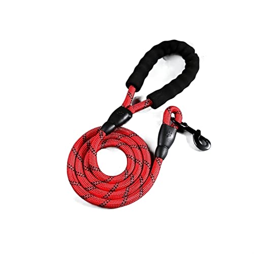 Hundeleine Reflektierende Nylon-Leinen, mittelgroße Welpenhalsbandleinen, Führstrick, Haustiergeschirr Schleppleine für Hunde(Red,2.0Mx1.2CM) von DGOINGPI