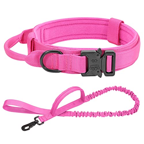 Hundeleine Taktisches Hundehalsband-Leine-Set, verstellbar, militärisches Haustier-Halsband, Bungee-Leine, mittelgroßer Hund Schleppleine für Hunde(Rose Set,M) von DGOINGPI