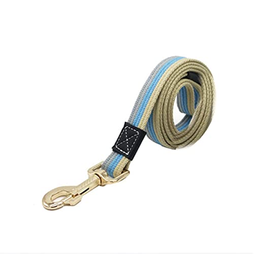 Hundeleine Verstellbares Hundehalsband und Leine-Set Hunde-Tracking-Leine Halsband Small Medium Large Schleppleine für Hunde(Blue Canvas Leash,L) von DGOINGPI