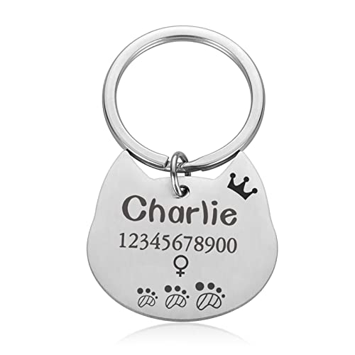 DHDHWL hundemarke Gravur Dog Haustier ICH WÜRDE Tags-Kragen ICH WÜRDE Tags personalisierte benutzerdefinierte Tag Hundezubehör graviert Hundekatze Name Tags Gravur Namen (Color : Silver) von DHDHWL