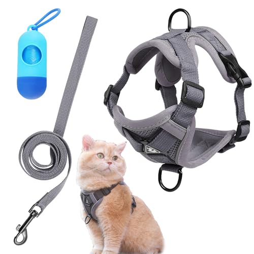 DHER Cat Harness and Leash Set Katzengeschirr mit Leine Set Weste Katzenleine, Kleine Haustiere Leine mit Reflektierstreifen, Verstellbarer Anti-Fall-Katzenbrustgurt Atmungsaktiver (Grau, L) von DHER