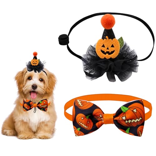 DHER Haustier Geburtstagsset Mit Goldenem Pailletten Hut Geburtstag Hut Pet Party Dekorationsset Hund Geburtstagshut Fliege Katze Geburtstag Pailletten DekorationszubehöR Festliche Party (Halloween) von DHER