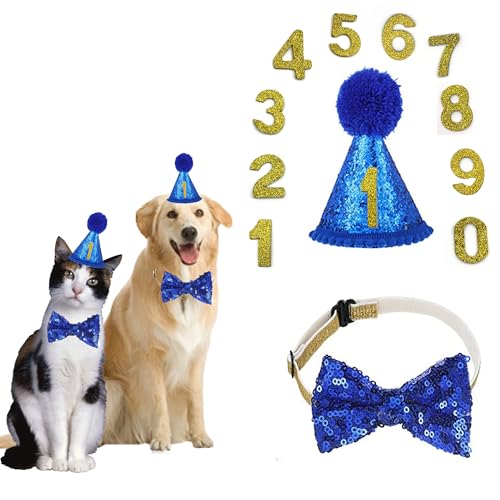 DHER Haustier Geburtstagsset Mit Goldenem Pailletten Hut Geburtstag Hut Pet Party Dekorationsset Hund Geburtstagshut Fliege Katze Hund Geburtstag Pailletten DekorationszubehöR Festliche Party (blau) von DHER