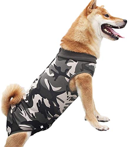 DHGTEP Chirurgischer Genesungsanzug für Hunde, Chirurgische Kleidung, Hund Genesungsanzug Männchen Weibchen Kegel e Alternative für Haustier Post-Operative (Color : Multi-Colored, Size : L) von DHGTEP