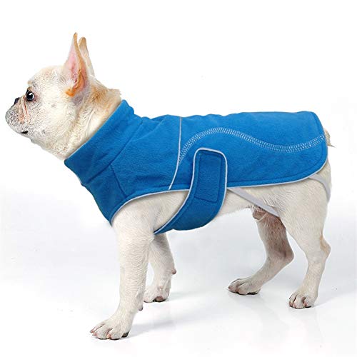 DHGTEP Frühling Winter Hundekleidung Reflektierende Warme Hunde Kleidung Jacke Pullover Mantel für Kleine Mittlere Große Hunde Pit Bull Chihuahua (Color : Blue, Size : 4XL) von DHGTEP