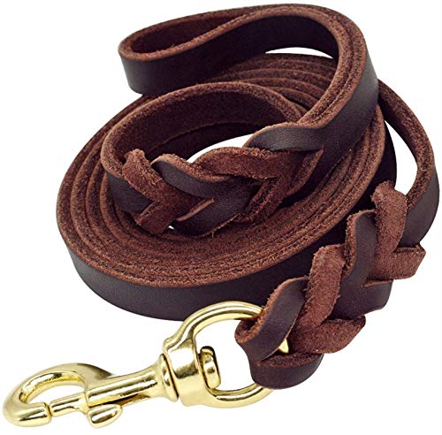 DHGTEP Geflochtene Leder Hundeleine Walking Training Leinen für Deutsche Schäferhund Golden Retriever 1.2cm/1.6cm/1.8cm Breite für mittlere große Hunde (Color : Deep Brown, Size : 1.8x200cm) von DHGTEP