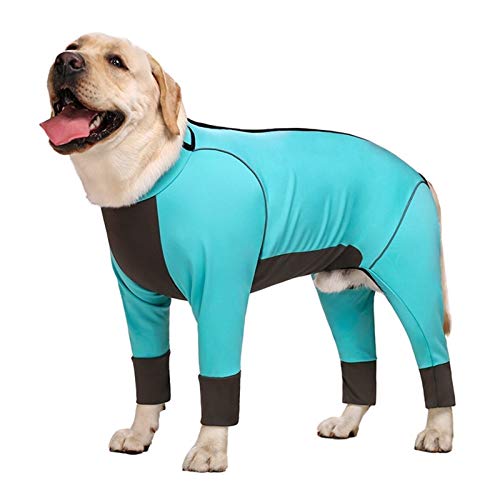 DHGTEP Große Hundekleidung Herbst und Winter Mittlere und Große Hunde Gelenkschutz Warme wasserdichte Vierbeiner Hundejacke (Color : Blue, Size : 36) von DHGTEP