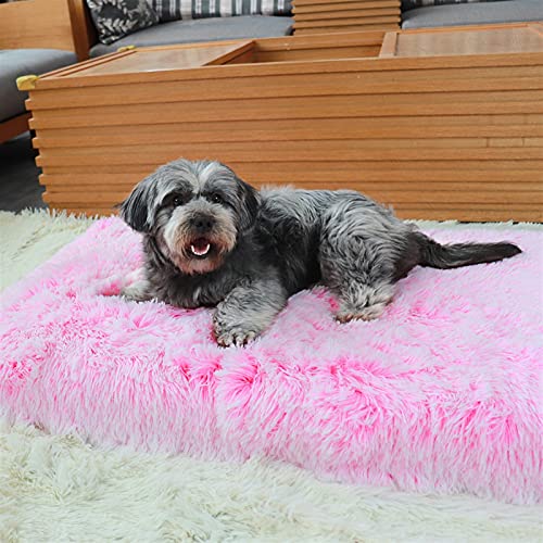 DHGTEP Großes Orthopädisches Hundebett Weiches Plüsch Haustier Matratze Gedächtnisschaum Sofa Mit Abnehmbarem Waschbarem Bezug Matte Kissen Für Große Katze Hunde (Farbe : Pink, Größe : 100x60x10CM) von DHGTEP