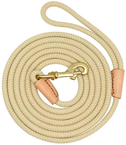 DHGTEP Hund Spurensuche Leinen Durable Nylon Lange Leine Seil Hundetraining Walking Leinen 3m 5m 10m 20m für Mittlere Große Hunde (Color : Beige, Size : 20m) von DHGTEP