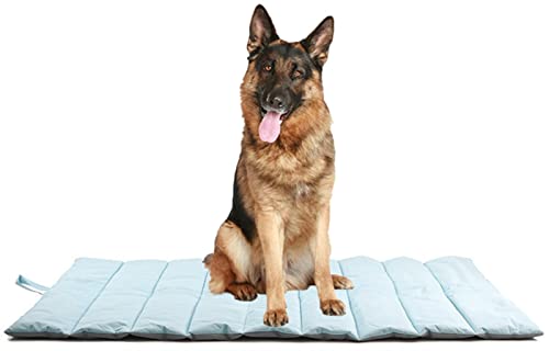 DHGTEP Hundebett Reisematte Zubehör Outdoor Tragbar Wasserdicht Faltbar Roll Up Sofa Hundebett Zwinger Auto Haustier Matte Großes Hundezubehör (Farbe : Blau, Größe : 110x68cm) von DHGTEP