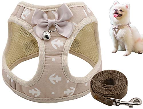 DHGTEP Hundegeschirr Gepolstert with Hundeleine 145cm Hundegeschirr Hundeleine Set mit Süßer Fliege ＆ Glocke für Welpe Kleine Hunde Große Katzen (Color : Beige, Size : L) von DHGTEP