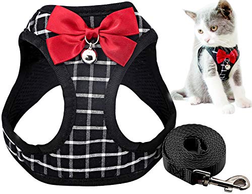 DHGTEP Hundegeschirr Gepolstert with Hundeleine 145cm Hundegeschirr Hundeleine Set mit Süßer Fliege ＆ Glocke für Welpe Kleine Hunde Große Katzen (Color : Black, Size : M) von DHGTEP