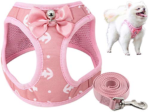 DHGTEP Hundegeschirr Gepolstert with Hundeleine 145cm Hundegeschirr Hundeleine Set mit Süßer Fliege ＆ Glocke für Welpe Kleine Hunde Große Katzen (Color : Pink, Size : M) von DHGTEP