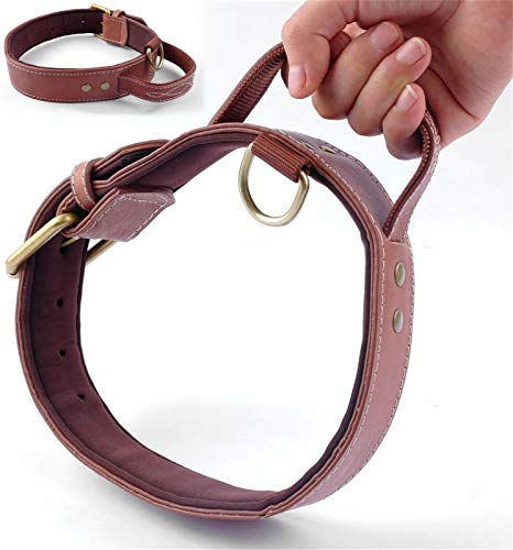 DHGTEP Hundehalsband, Schnellsteuerung Weich Innen Gepolstertes PU-Leder-Hundehalsband mit Griff für Mittelgroße Hunde Walking Training (Color : Brown, Size : 4.5x58.5CM) von DHGTEP