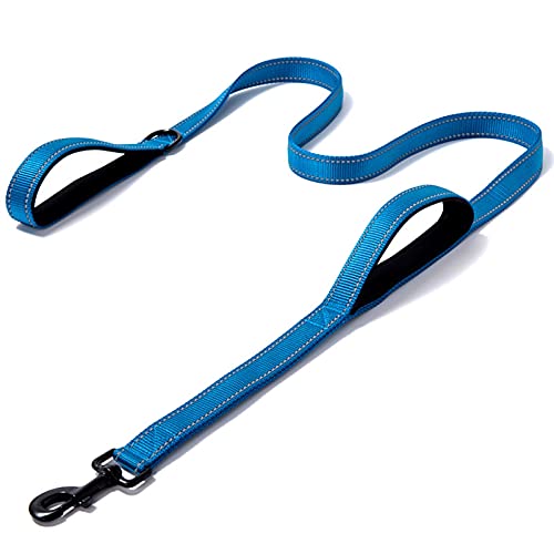 DHGTEP Hundeleine Reflektierend Gepolstert Hundeleine Zwei Handgriff Langlebig Klein Mittel Groß Hund Haustier Training Leine Nylon Leine 11 Farben (Farbe : Blau, Größe : 1.8M/5.9FT) von DHGTEP