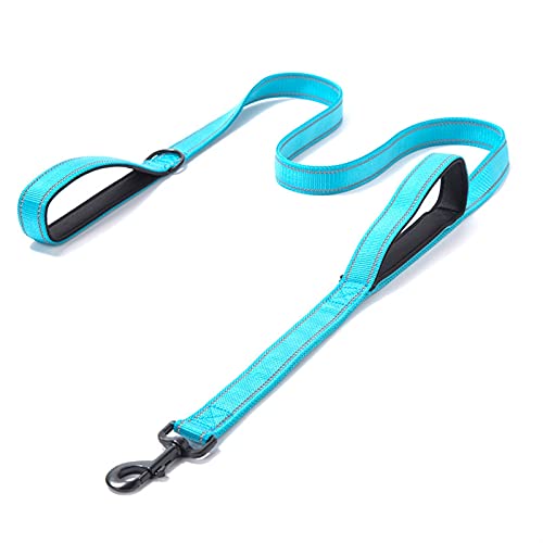 DHGTEP Hundeleine Reflektierend Gepolstert Hundeleine Zwei Handgriff Langlebig Klein Mittel Groß Hund Haustier Training Leine Nylon Leine 11 Farben (Farbe : Blue Black, Größe : 1.8M/5.9FT) von DHGTEP