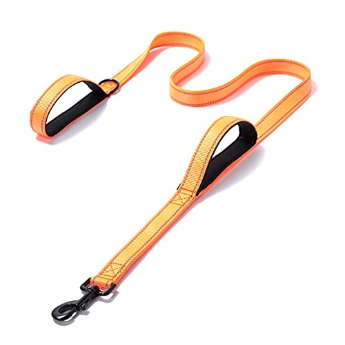 DHGTEP Hundeleine Reflektierend Gepolstert Hundeleine Zwei Handgriff Langlebig Klein Mittel Groß Hund Haustier Training Leine Nylon Leine 11 Farben (Farbe : Orange, Größe : 1.5M/4.9FT) von DHGTEP