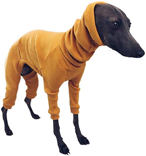 DHGTEP HundemäNtel Hund Fleece Onesie Jumper mit Vier Beinen Haustier Hundesweater Haustier Baumwollmantel Kleidung für Welpen Kleine Mittlere Große Hund (Color : Brass, Size : 3XL) von DHGTEP