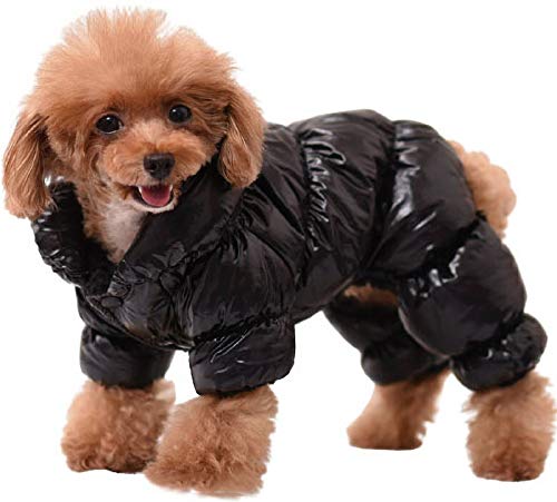 DHGTEP Hundemantel Daunenjacke Wasserdicht Kleine Hundemäntel für Winter Warme Kleidung für Französische Bulldogge Teddogge Kleine Hunde Katze Welpen (Color : Black, Size : M) von DHGTEP