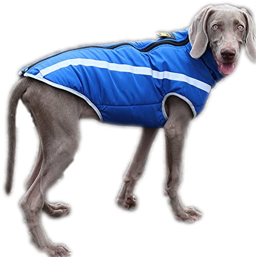 DHGTEP Hundemantel Dicke Jacke für Große Hunde, Winter Warme Baumwolle Hundekleidung Weste mit Geschirr Loch, Reflektierende Hundekleidung mit Verstellbarer Schnalle (Farbe : Blau, Größe : XXL) von DHGTEP