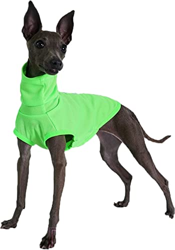 DHGTEP Hundesport-Shirts Atmungsaktiver Hundemantel Hoher Kragen Leichtes Athletisches Mesh Hundesweatshirts für Greyhounds, Whippet, Lurcher, Pharaoh Hound, Bedlington Terrier Walking Training von DHGTEP