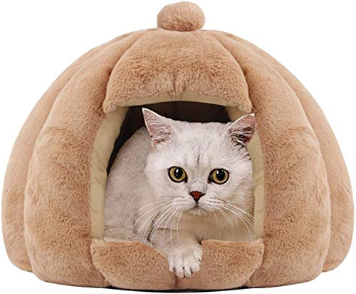 DHGTEP Katzenbett Höhle für Indoor-Katzen Kleine Hunde Kätzchen Bett Haustier Zelt Höhle Kitty Bett Katze Hütte mit Abnehmbaren Waschbar Gepolstert Kissen (Color : Brown, Size : 60x50cm) von DHGTEP