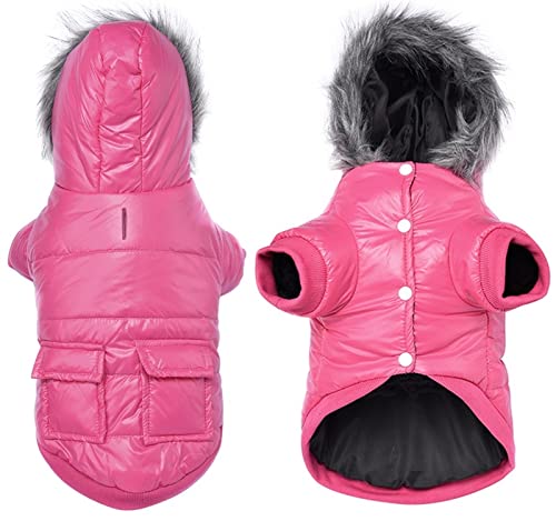 DHGTEP Winter Hundemantel Warme Jacke Dickere Baumwolle Kleidung Kleine Hunde Welpen Kleidung Wasserdicht für Französische Bulldogge Chihuahua (Farbe : Pink, Größe : L) von DHGTEP