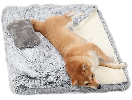 Gedächtnisschaum Orthopädische Hundebett Matte Rechteckige Katze Bett Matratze mit Abnehmbaren Waschbar Plüsch Abdeckung Kissen für Kleine Mittlere Große Hunde ( Farbe : Grau , Größe : 50x60x5cm ) von DHGTEP