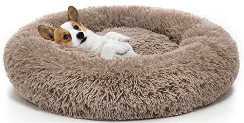 Rundes Plüsch Wolke Hundebett Katzenbett Für Grosse Kleine Mittlere Katzenhunde, Hundebett Flauschig Waschbar Für Orthopädische Erleichterung Und Verbesserten Schlaf ( Color : Brown , Size : 80CM ) von DHGTEP