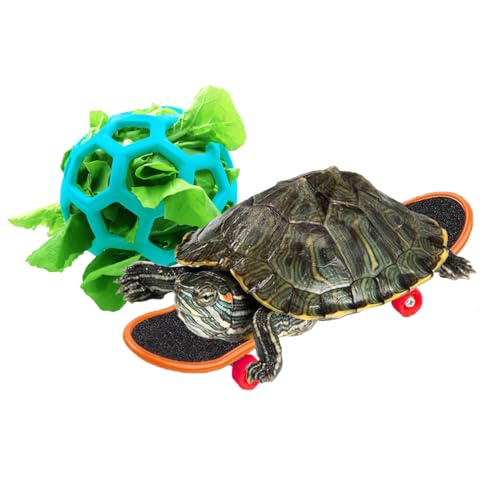 DHinkyoung Schildkröten-Futterball und lustiges Skateboard, Schildkrötenspielzeug Futterbälle für Kleintiere Haustiere Schildkröten von DHinkyoung