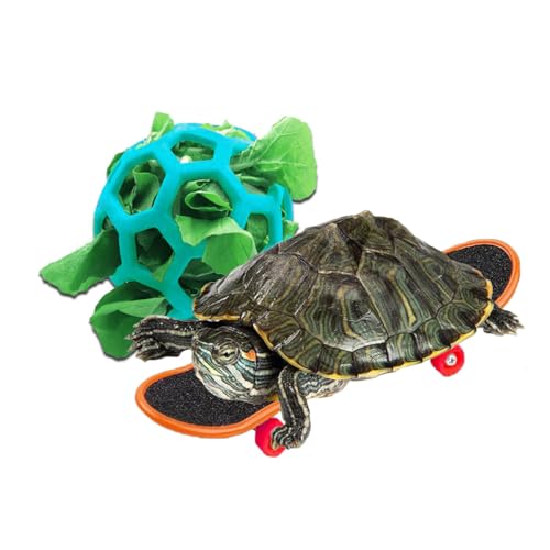 DHinkyoung Schildkröten-Futterball und lustiges Skateboard, Schildkrötenspielzeug Futterbälle für Kleintiere Haustiere Schildkröten von DHinkyoung