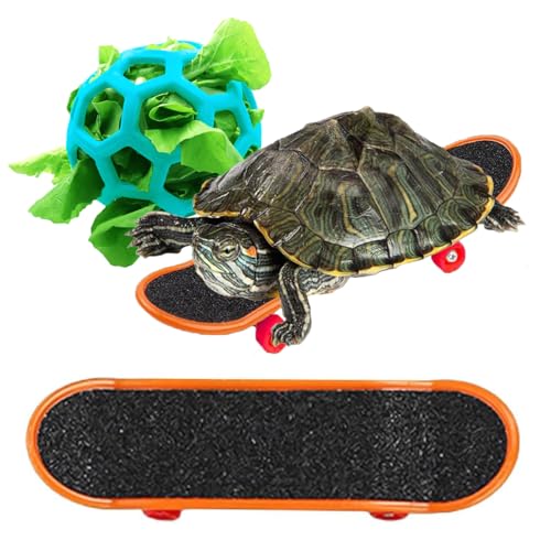 DHinkyoung Schildkröten-Trainingsskateboard & Leckerli-Ball Spielzeug-Set, Schildkröten-Futterball und lustiges Skateboard, Schildkrötenspielzeug Fütterungsbälle für Kleintiere Haustiere Papagei von DHinkyoung