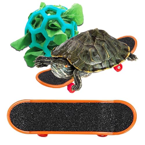 DHinkyoung Schildkröten-Trainingsskateboard & Leckerli-Ball Spielzeug-Set, Schildkröten-Futterball und lustiges Skateboard, Schildkrötenspielzeug Fütterungsbälle für Kleintiere Haustiere Papagei von DHinkyoung