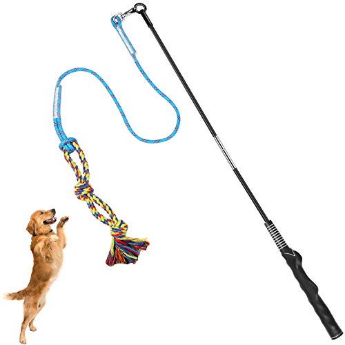 Dog Flirt Pole Toy, Interactive Teaser Wand for Dogs Tug of War and Outdoor Exercise, Tether Lure Toy with Chewing Cotton Rope to Chasing and Training for Small Dogs von DIBBATU