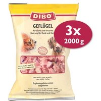 DIBO Frostfutter Geflügel 3x2 kg von DIBO