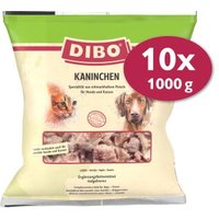 DIBO Frostfutter Kaninchen 10x1 kg von DIBO