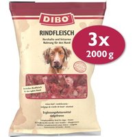 DIBO Frostfutter Rindfleisch 3x2 kg von DIBO