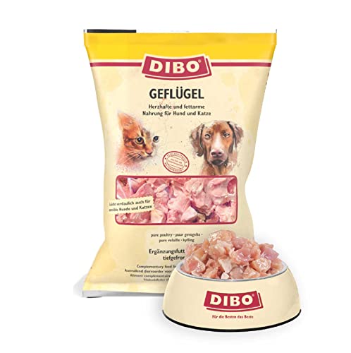 DIBO Geflügel, 10 x 2.000g-Beutel, Tiefkühlfutter, gesunde, natürliche Ernährung für Hunde und Katzen, Barf Fleisch von DIBO