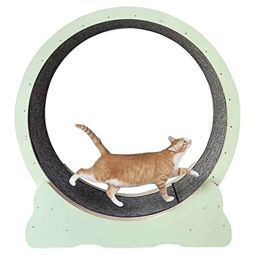 Cat Exerciser Wheel Roller Mute Cat Laufband Fitness Leichtes Cat Wheel Toy lindert Bewegungsmangel für eine längere Lebensdauer,Pink-L von DIIDIIFF