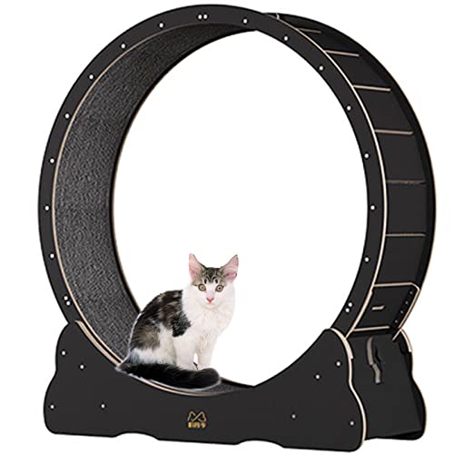 DIIDIIFF Katzenlaufrad, Katzenlaufband, Übungsrad, niedliche Katzenmöbel, Haustierspielzeug, Katzenspielzeug, Gewichtsverlustgerät für Katzen, XL-Pink von DIIDIIFF