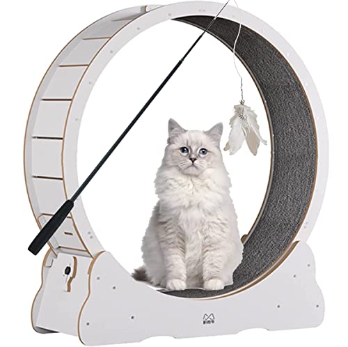 Extreme Cat Wheel Workout Game Trainer für Katzen, Laufband mit Teppichboden, Katzensportspielzeug zum Laufen, Spinning, Klettern, M-Grün von DIIDIIFF