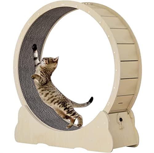 Großer Katzenlauftrainer mit Teppichlaufbahn, rundes großes Katzenlaufband, für kleine/mittlere Haustierübungen im Innenbereich, XL-Braun von DIIDIIFF