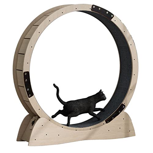 Indoor Cats Sport Exercise Fitness Wheel – Holzmaserung, Haustierspielzeug-Laufband für Katzen Aller Größen, Lauf-Spinnspielzeug von DIIDIIFF