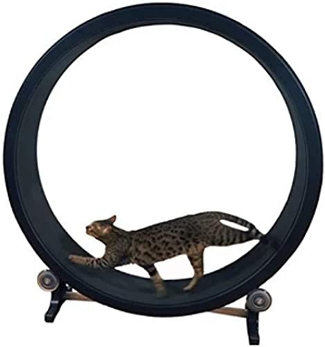 Katzen-Klettergerüst, Katzenspielzeug, Roller, Katzenlaufband, Katzen-Abnehmgerät zum Abnehmen von Haustieren und tägliche Bewegung für Katzen, Bewegungsrad von DIIDIIFF