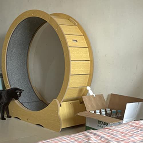 Katzenlaufband, 110 cm, Katzenrad, Übungslaufband, robust, stumm, geräuschlos, für kleine/mittlere/große Katzenspielzeuge, als Katzenklettergerüst von DIIDIIFF