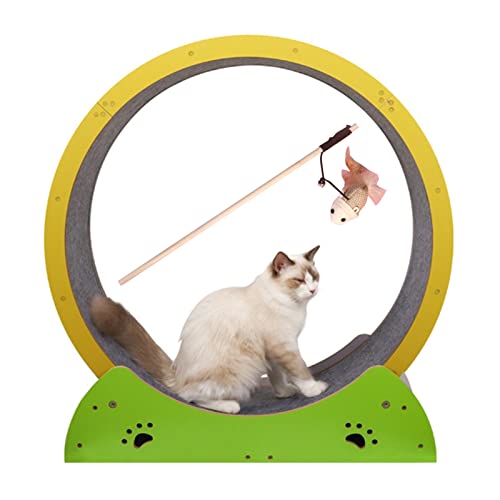 Katzenlaufband Buntes Laufband Ferris, Mute Cats Scratch Board Grab Crawling Shelf Wheel Rotation, Running Spinner Wheel Play Toy von DIIDIIFF