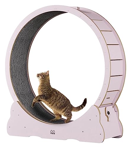 Katzenlaufband im Hamsterrad-Stil, langlebiges Katzen-Riesenrad-Laufband mit sicherer Verriegelung, reibungsloser Lauf von DIIDIIFF