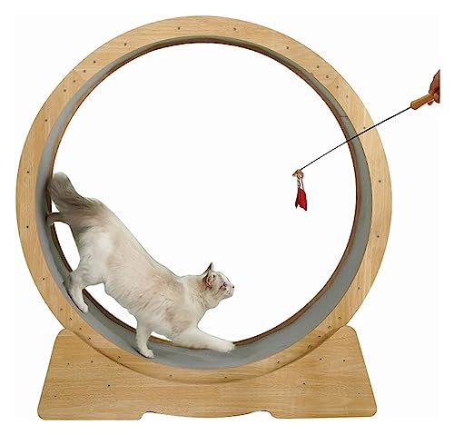 Katzenlaufband mit Einklemmschutz und integrierten Rädern, Katzen-Spinnrad-Trainingsgerät, Kratzbaum/Katzenspielzeug von DIIDIIFF